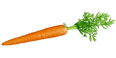 Joel's Carrot